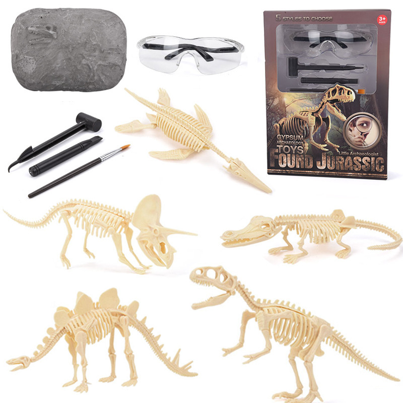 Science Kit - Kit de Excavación de Fósiles de