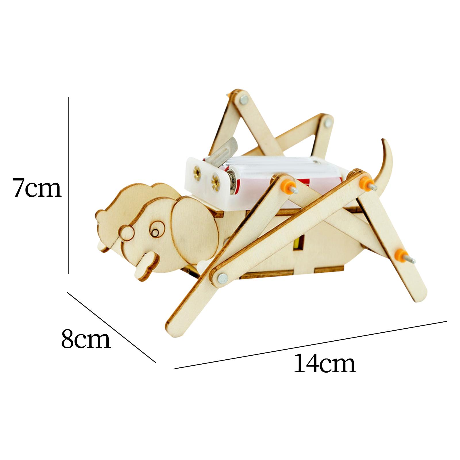 Kit de Ciencia para Construir  - Science Project Toys Making reseña y precio