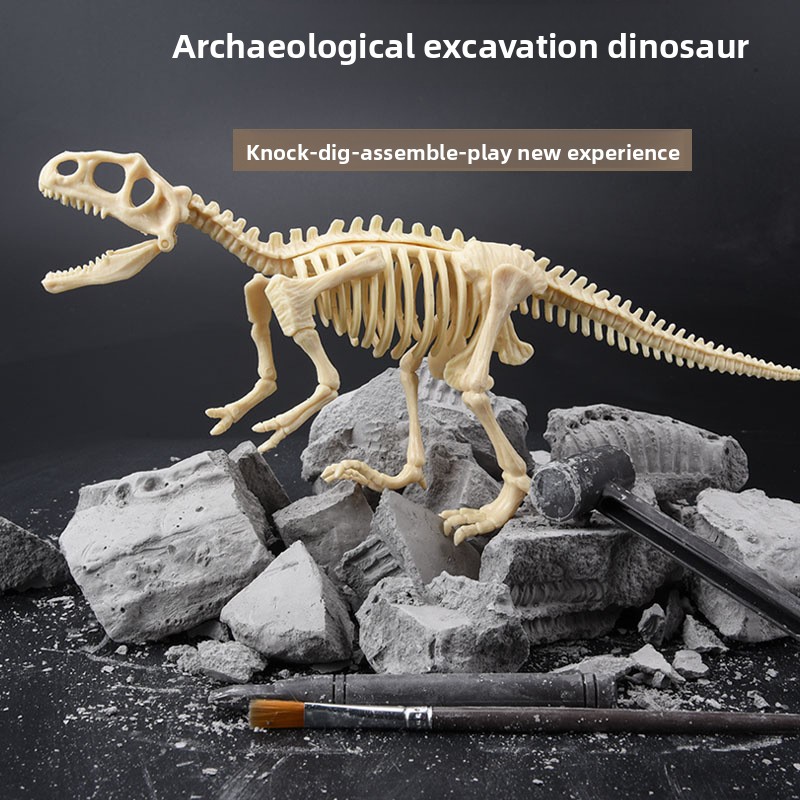 Kit de Excavación de Fósiles d - Science Kit reseña y precio